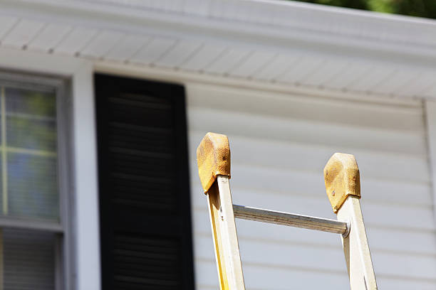 Professional Junk Removal in Penitas, TX